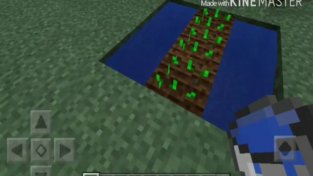 Как пасадить семена моркви, пшеніци , арбуза , тикви смотреть онлайн