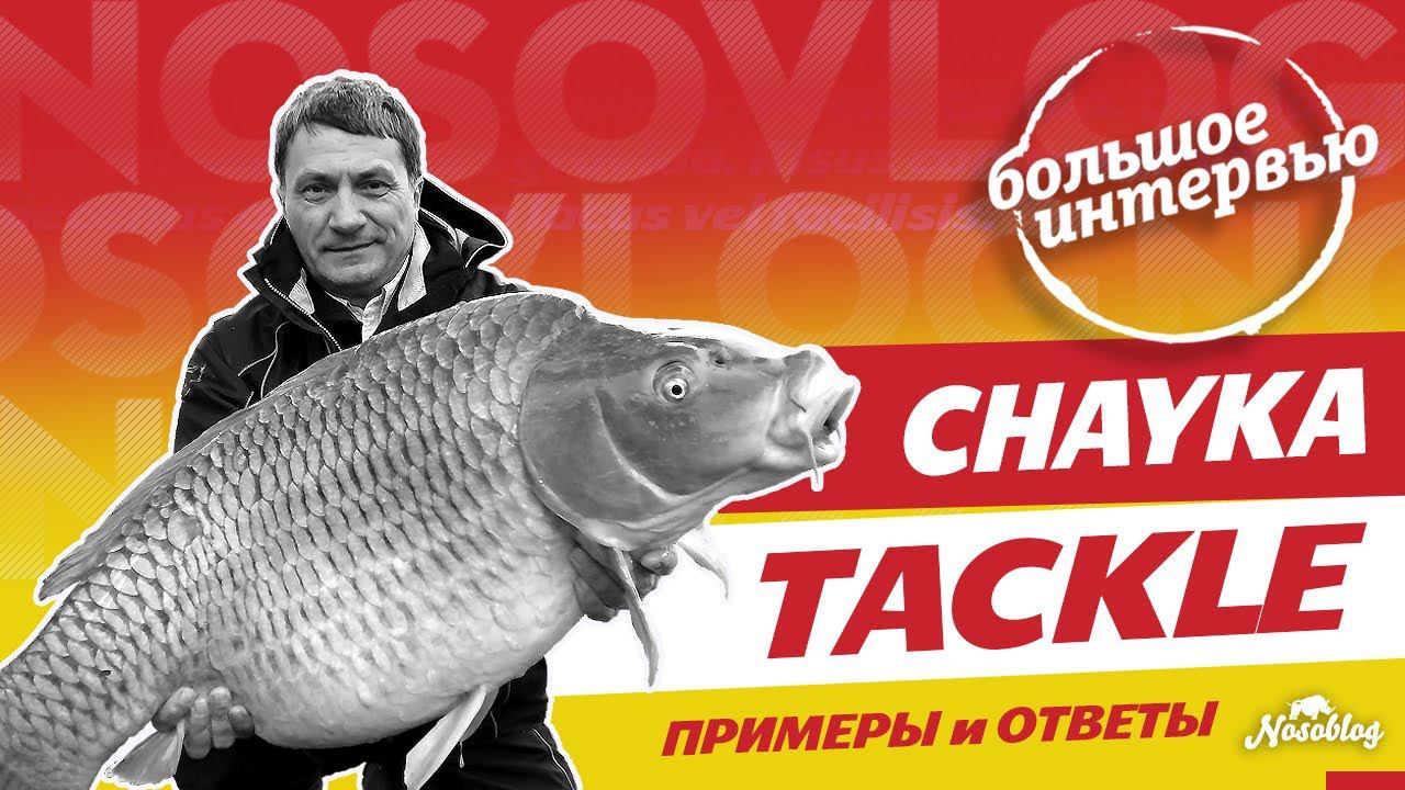 CHAYKA TACKLE - 2 часть интервью Игоря Чайка, о монтажах, оснастках, удилищах для карпфишинга смотреть онлайн