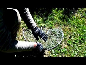 Установка лучка D50. Наторожка - с веточкой