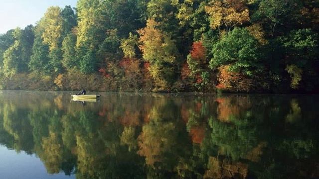 порой бывает незнакомый человек....avi смотреть онлайн