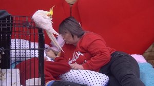 Спаси свою любовь, 1 сезон (21.12.2019)