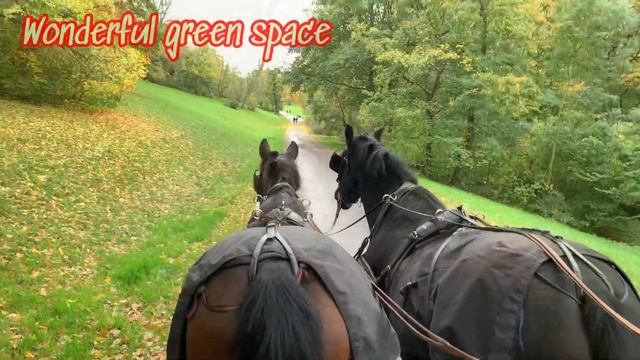 The Goethe Town Weimar | a beautiful City for exploration and culture смотреть онлайн