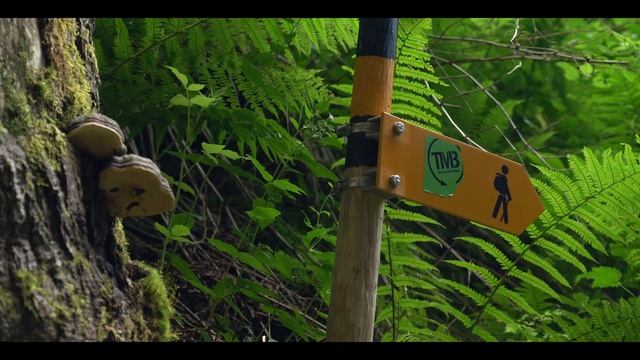 ALL STAGES OF THE TOUR DU MONT BLANC | Hiking the TMB | Backpacking | ALL SECTIONS смотреть онлайн