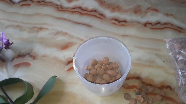 Пересадка ОРХИДЕИ нашла бюджетный горшок и БЮДЖЕТНЫЙ грунт/ КАК ЧАСТО ПЕРЕСАЖИВАТЬ ОРХИДЕЮ ??? смотреть онлайн