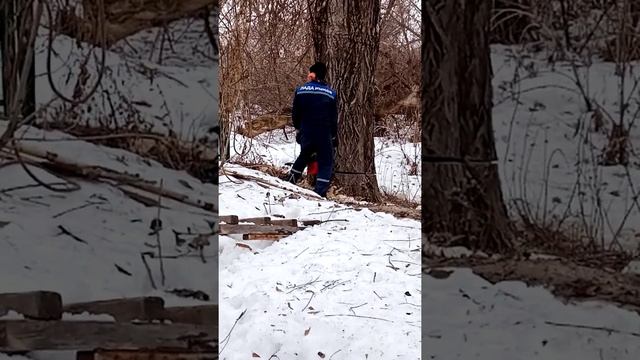 Как свалить дерево возле дома при помощи лебедки видео 3 смотреть онлайн