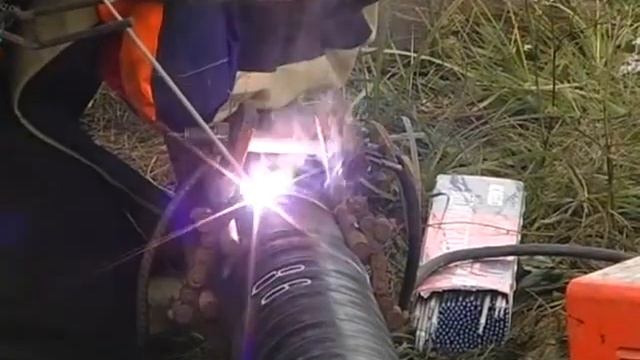 Лучший укротитель металла смотреть онлайн