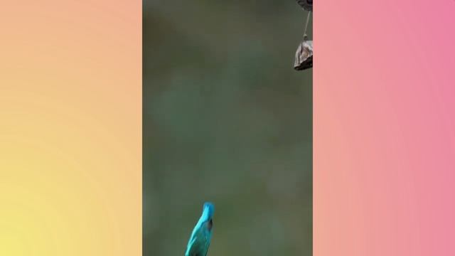 Satisfying Video With Calming Deep Sleep Music