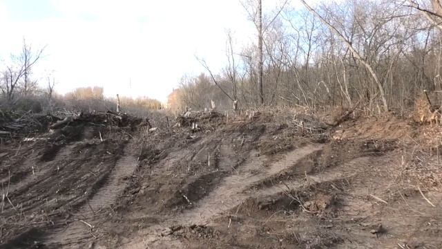 Уральцы возмущены вырубкой леса возле парка «Кирова». Уральск 2021г. смотреть онлайн