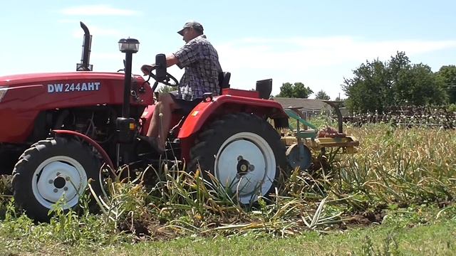 Копаю ЧЕСНОК соседям !!! смотреть онлайн