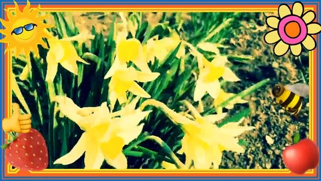 Букет улыбок тебе!