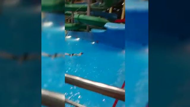 Ква ква парк... смотреть онлайн