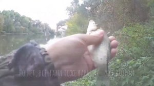 Рыбалка на реке Пахра в Домодедово