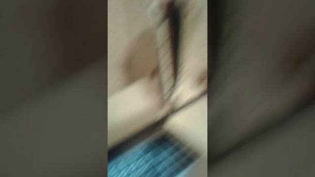 Как определить пол у джунгарика. смотреть онлайн