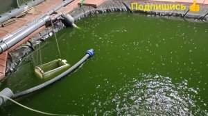УФ лампа своими руками за пару часов. Очистка воды с уф лампой. Как убрать цветение воды в пруду.ко