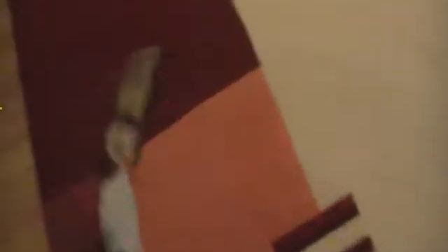 Папа хорёк и дети хорьчата играют смотреть онлайн