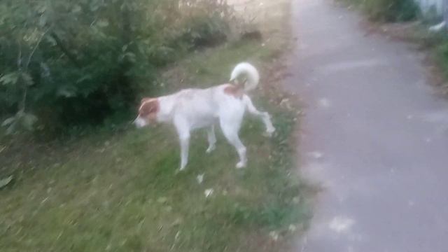 плохо на душе...девочка Джесси осталась одна... смотреть онлайн