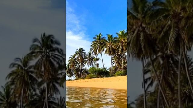 Расслабляющая Звук Гавайи Звук океана, волн для сна смотреть онлайн