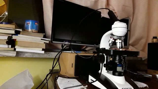 Чешуя Маисового Полоза (Pantherophis guttatus) / Микроскопия и немного болтовни=))) смотреть онлайн