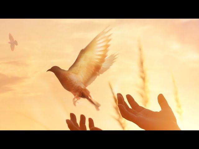 "Отпустить". Как? Клинический психолог Елена Худышина смотреть онлайн