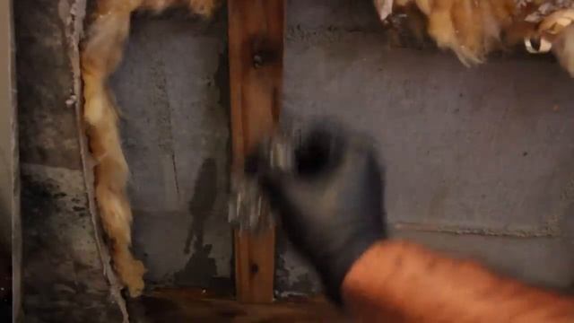 Proven Ways To Remove Mold From Wood. How To Remove Mold Inside Walls смотреть онлайн