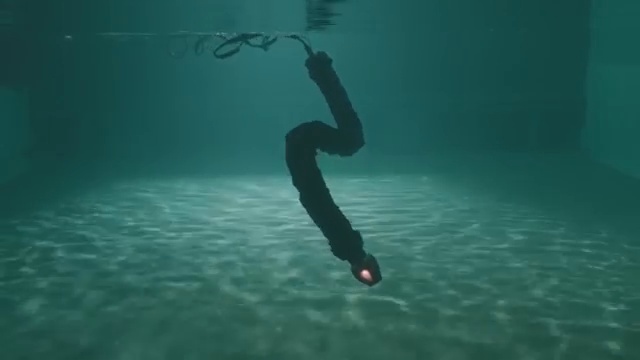 В Норвегии создали подводного робота-змею смотреть онлайн