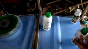 Обработка персика от курчавости вторая обработка сливы абрикоса Какую химию использовать.