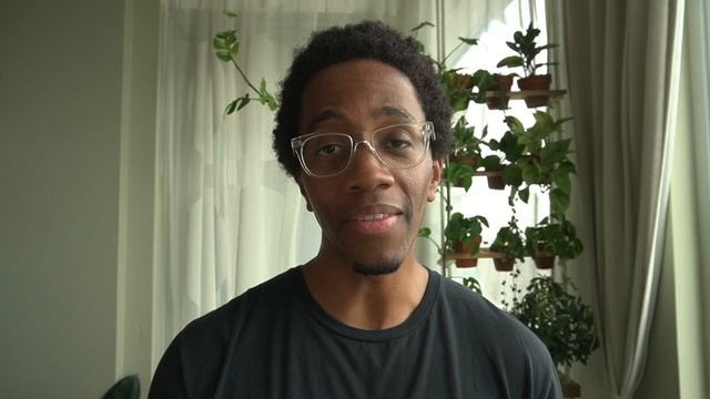 Make more Monstera Adansonii from stems смотреть онлайн