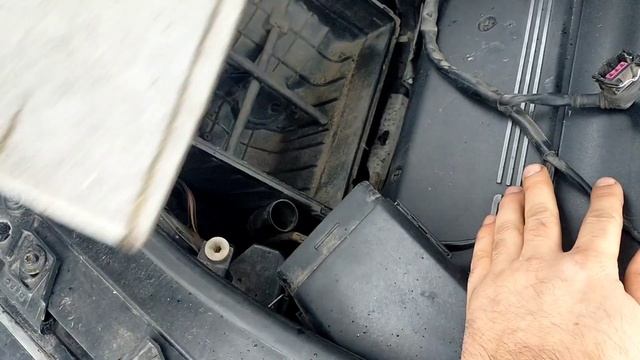 А6 С5. Диагностика и профилактика ДМРВ. смотреть онлайн