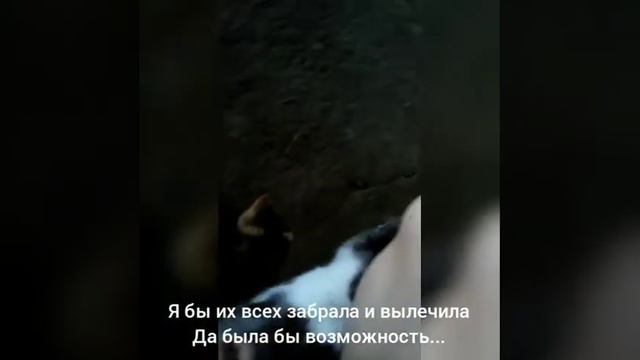 Ужас на ферме! смотреть онлайн