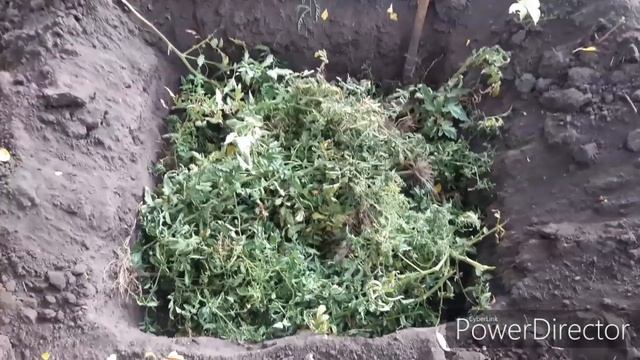 Как убрать опавшие листья? Уборка листьев на участке. смотреть онлайн