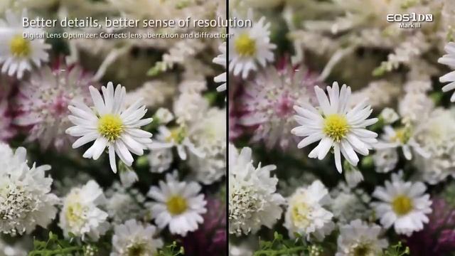 Canon EOS 1D X Mark III, nacida para ganar смотреть онлайн