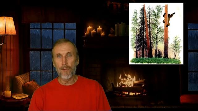 Сказки дедушки смотреть онлайн