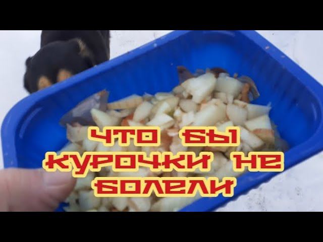 Лук - и Ваши курочки будут здоровы... смотреть онлайн