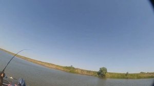 Ахтуба-Селитренное ловля сазана часть 2