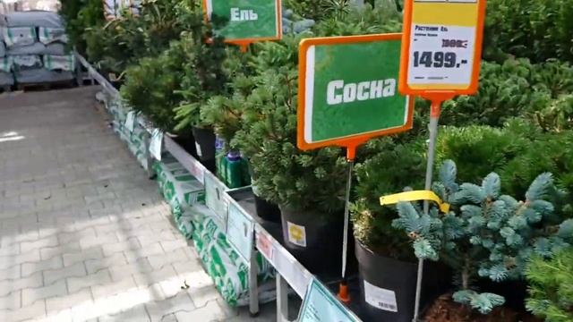 Открытая площадка для растений в ОБИ смотреть онлайн