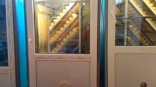 ИНДЮШОНОК ВЫЙДЕТ ЗОЛОТОЙ. ЦЕНА НА ЯЙЦО СИЛЬНО ВОЗРОСЛА. ПРОГНОЗЫ НА ВЕСНУ. смотреть онлайн