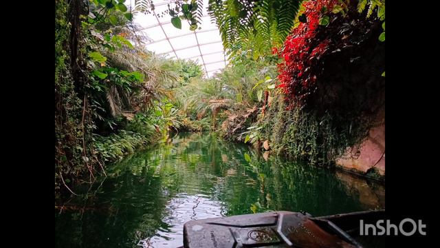 ЗООПАРК. Лейпциг. 24 октября 2023 смотреть онлайн