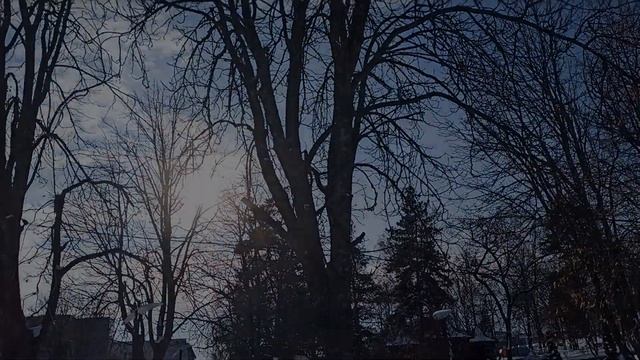 #Белгород? / #Зима ? / Солнышко / 22 .11.2023  Чутка скупились ?