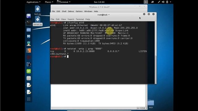 Python: Simple Python reverse shell смотреть онлайн