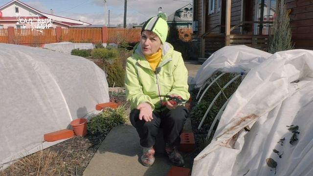 Строительные Чудеса