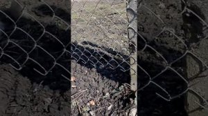 Наступит день, уйдет печаль. Придет весна, уйдет февраль.