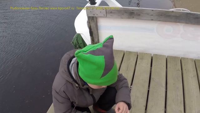 Поймать рыбу у нас может каждый! смотреть онлайн