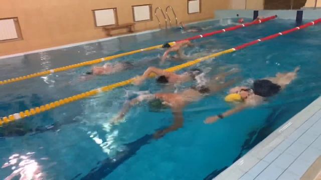 Подготовка к заплывам на открытой воде. Кроль Total Immersion. смотреть онлайн
