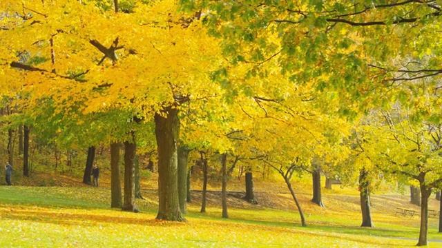 Лечебная музыка от беспокойства, страха, депрессивных расстройств и избавления от негативных мыслей смотреть онлайн