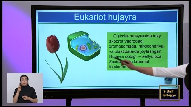 9-sinf  25.10.21 Online Maktab HD (Fizika, Jahon Tarixi, Biologiya, Fransuz Tili, Rus Tili)