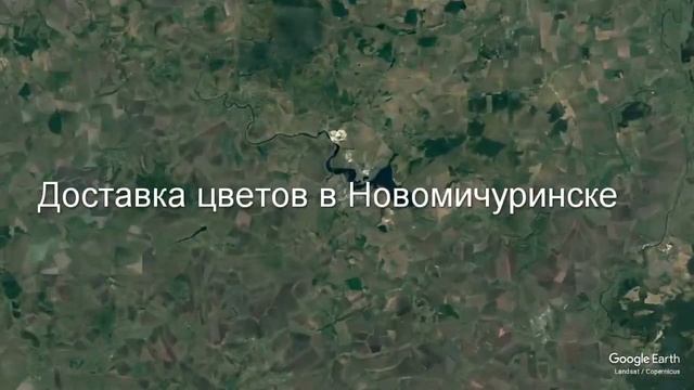 Доставка цветов в Новомичуринске - Заказ букетов от компании Скорая подарочная помощь смотреть онлайн