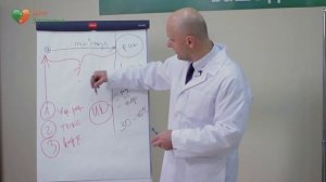 Нефритовый ковер Лучи Жизни. Онкология. Рак. Доктор Малко. Доктор Малко.