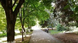 Отзыв о переезде 10 месяцев спустя.  Продолжение рассказа о работе. 3 часть. Переезд на пмж