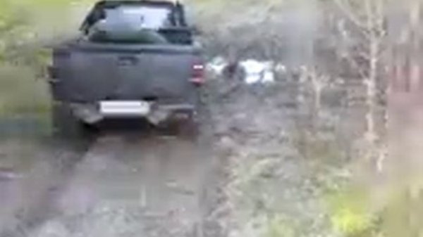 Derweys Plutus бездорожье