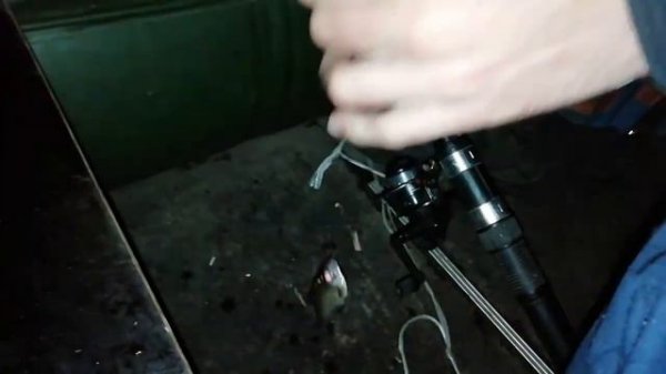 Рыбалка на Селигере/Ночная